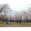 公園