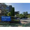 大学