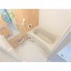 バス/シャワー