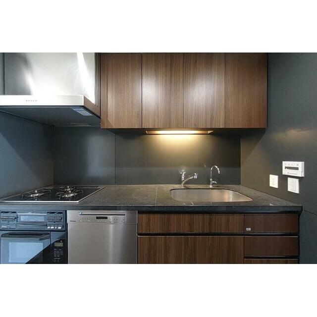 G2・N1タイプ2026年1月撮影 パノラマ画像から切り取ったものです