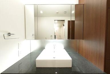 G2・N1タイプ2026年1月撮影 パノラマ画像から切り取ったものです