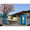 幼稚園、保育園