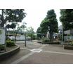 公園