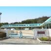 幼稚園、保育園