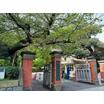 大学