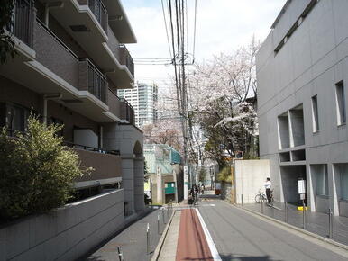 通勤通学路、芳水小学校周辺