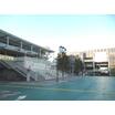 大学