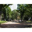 公園