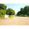 公園