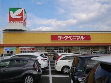 ヨークベニマル遠見塚店