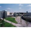 大学