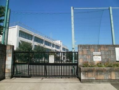 第三小学校