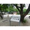 公園
