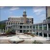 大学