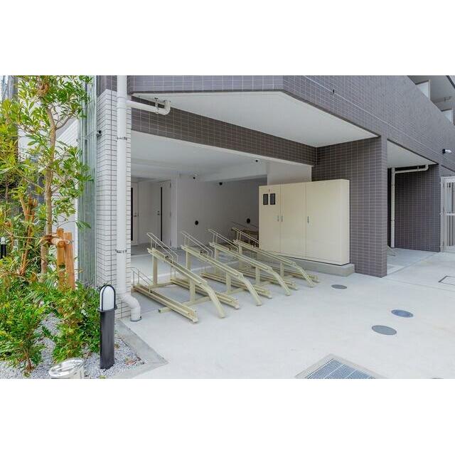 2026年3月撮影