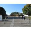 公園
