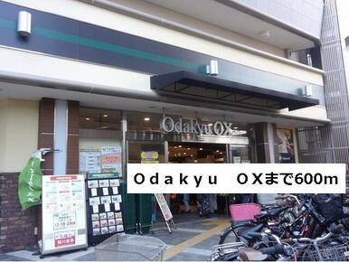 Odakyu　OX