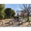 公園