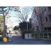 大学