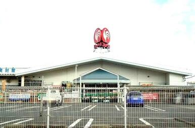 コメリハード＆グリーン横田店