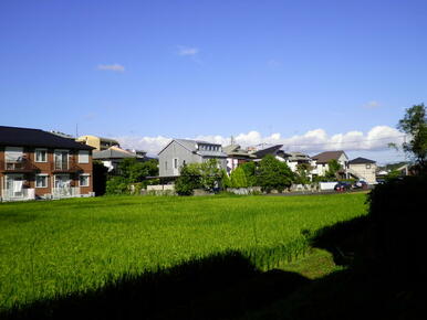 緑豊かな住環境