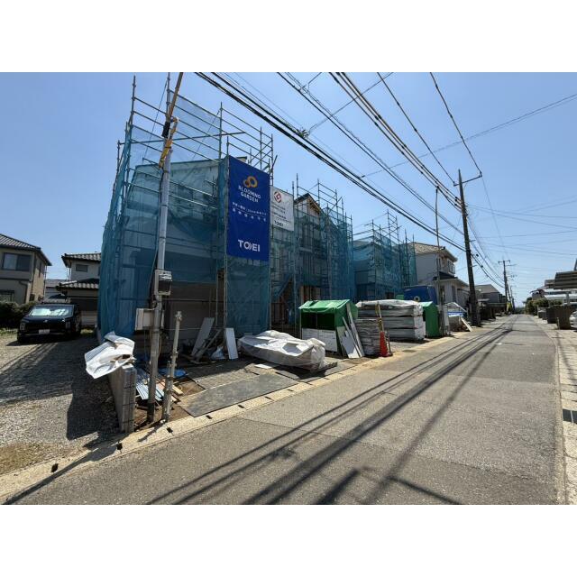 5月上旬撮影