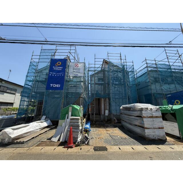 5月上旬撮影