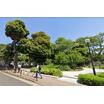 公園