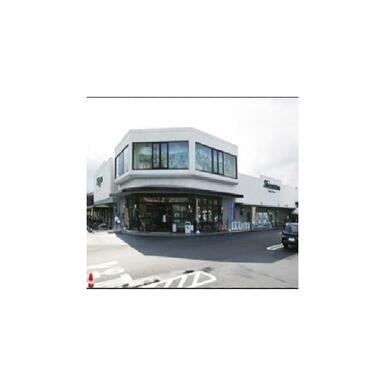 マックスバリュー　上足洗店