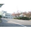 中学校