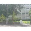 大学