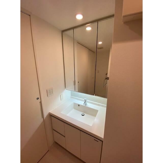 反転タイプの写真です。