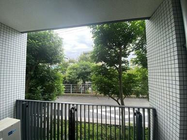 反転タイプの写真です。