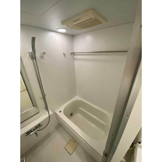 反転タイプの写真です。