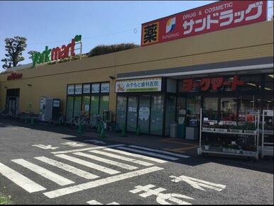 サンドラッグ藤原店