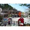 幼稚園、保育園