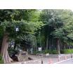 公園