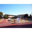 幼稚園、保育園