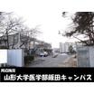 大学