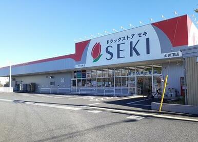 ドラッグストアセキ　太田窪店