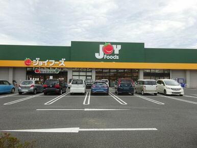 ジョイフーズ高崎剣崎店