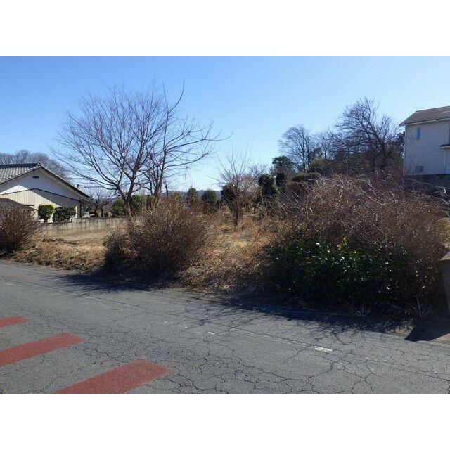 現地写真