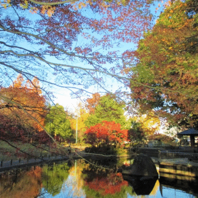 蚕糸の森公園