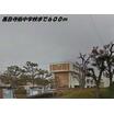 周辺環境