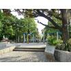 公園
