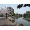 公園