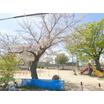 公園