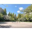 公園