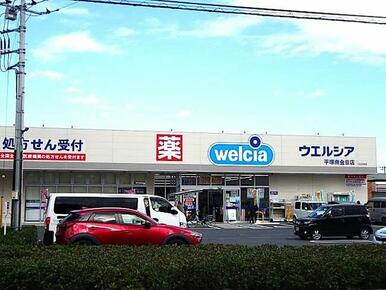 近くのドラッグストア～ウエルシア平塚南金目店