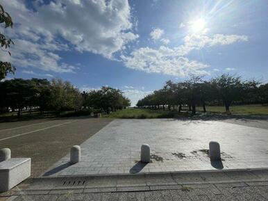 ペットとの散歩にピッタリな海辺の公園です。